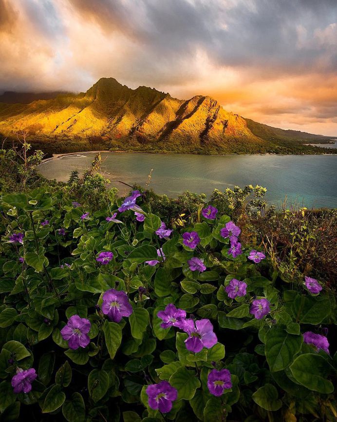 Magnificent Nature Landscapes of Hawaii by Micah Roemmling