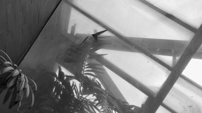 HH_ Planten un Blomen PHOTOGRAPHIE (C) [ catrin mackowski ]