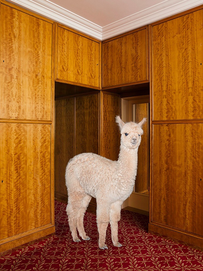 © Daniel Gebhart de Koekkoek