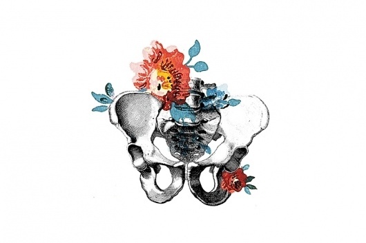 Isabelle Laydier #isabelle #squelette #cadavre #laydier #exquis #skull #flowers