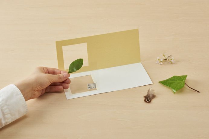 Preserve Botanical Finds and Other Travel Specimens With This Unique Japanese Stationery | Colossal