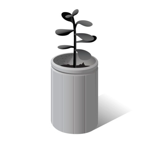 004_Plant 01.png #flat #white #black #illustration #nature #plant