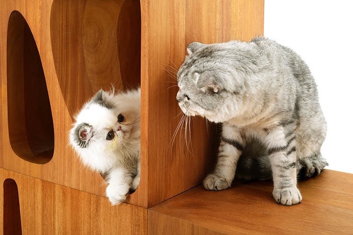 CATable