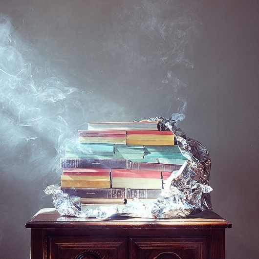 Double Book Cheeseburger | Flickr - Photo Sharing! #cheeseburger #photography #books #dunny