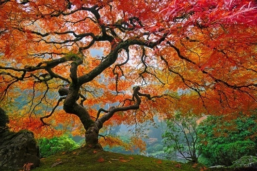 uQQIm.jpg (950×633) #colors
