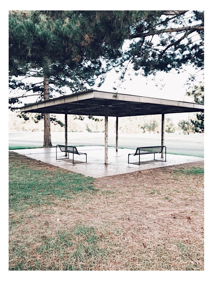 #rheinpark #cologne #BUGA1957 #vsco PHOTOGRAHIE © [ catrin mackowski ]