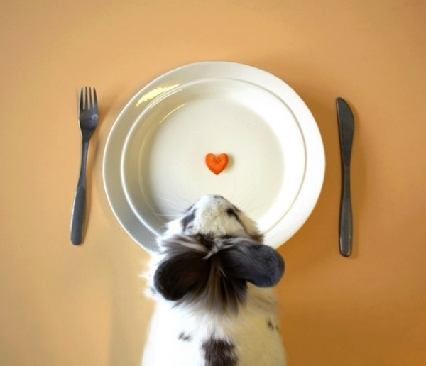 Conceptual Photography by Jenni Holma #photography #conceptual #inspirations