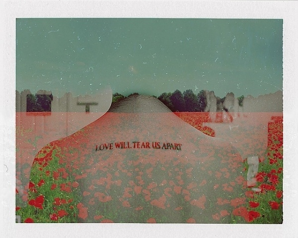 118 | Flickr - Photo Sharing! #poppies #color #love #polaroid