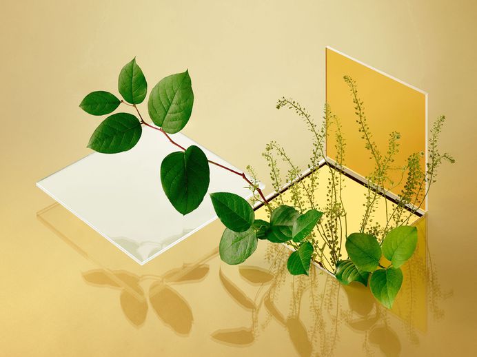 WIRED MAGAZINE – NIK MIRUS, CAMILLE BOYER on Behance