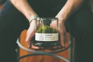 MOSSER #brand #terrarium #moss
