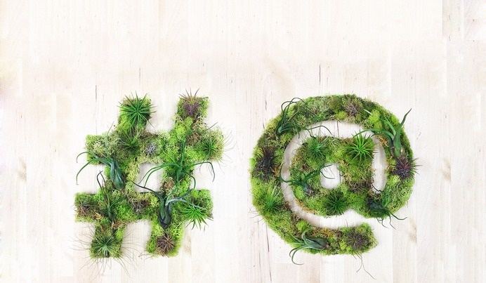 Art We Heart | Art Boutique #sculpture #airplants #hashtaggarden #gifts #succulents #atsymbol #hashtag #art #artweheart #moss #green