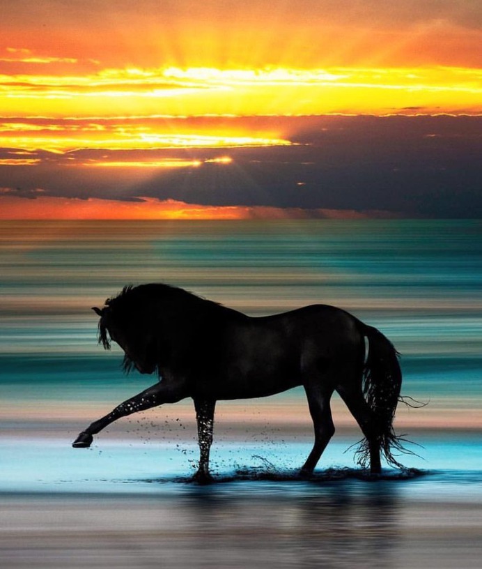 Outstanding Wildlife and Landscape Photography by Pepe Soho