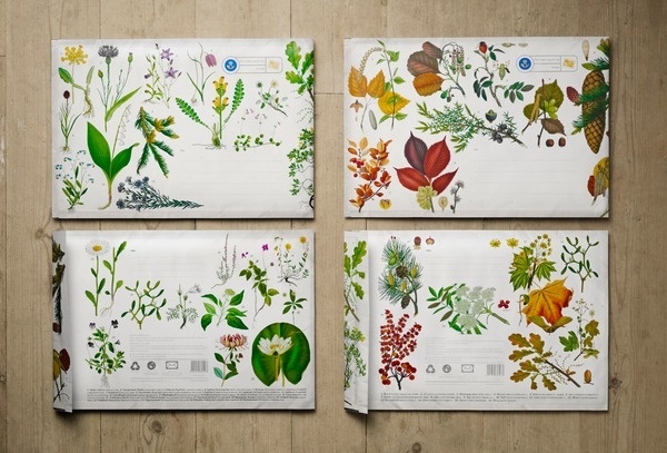 Posten #flower #illustration #envelope