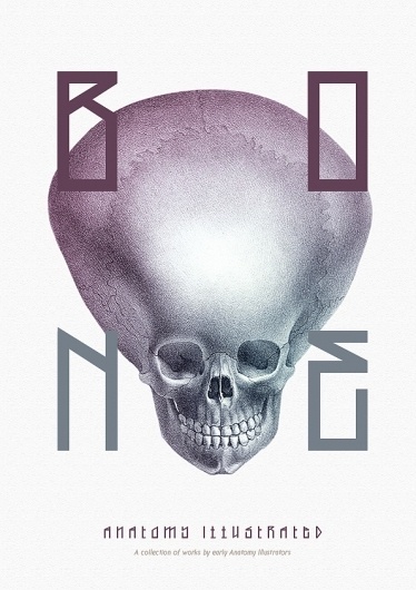 Bone - Anatomy Illustrated on the Behance Network #skeleton #bone #anatomy #book #kelava #cover #josip #poster #skull