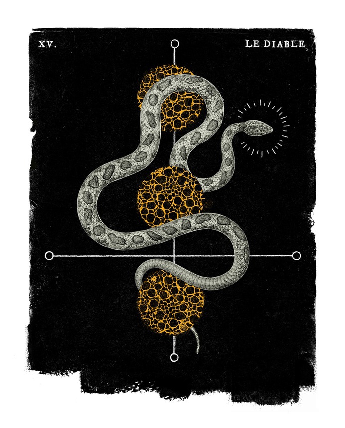 Handsome Devil - Matthew Hancock