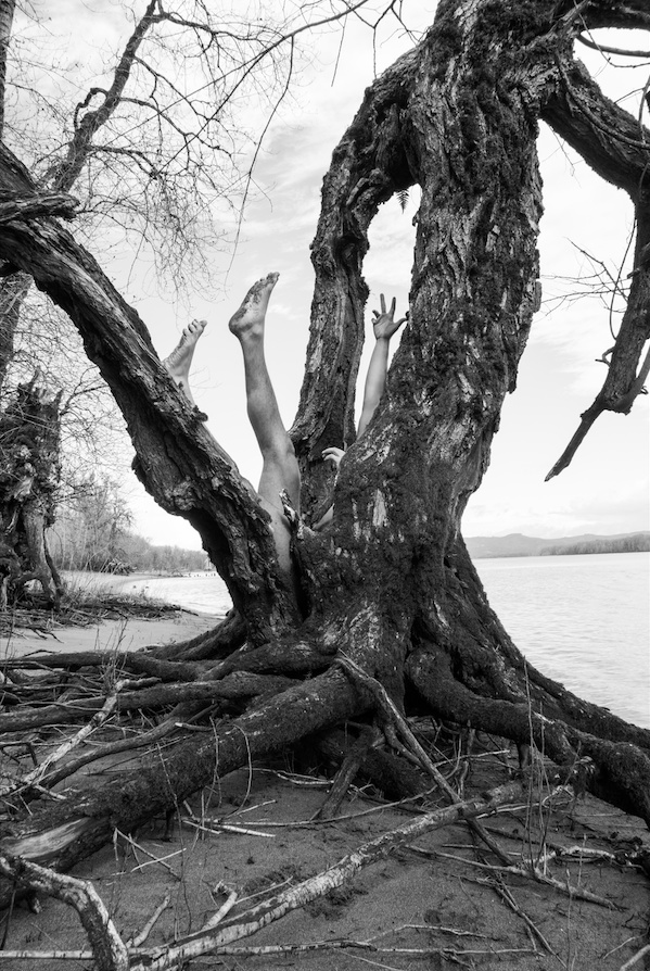 Armin Radford | PICDIT