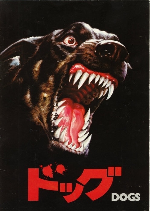 VtihU.jpg 496×700 pixels #dogs