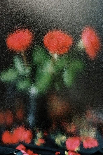 http://aa-je.tumblr.com/post/8861473478/from-the-serie-black-rose-by-aurelien-arbet-and #photography