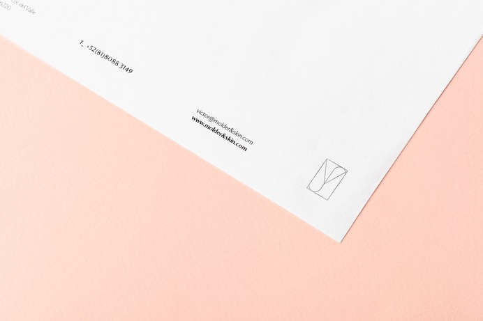 Reset Co. | Molder & Skin | Branding