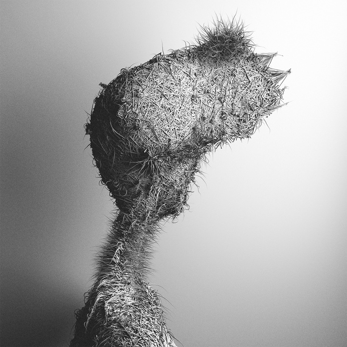 Can Pekdemir | Lust Nation #3d #artist #inspiration
