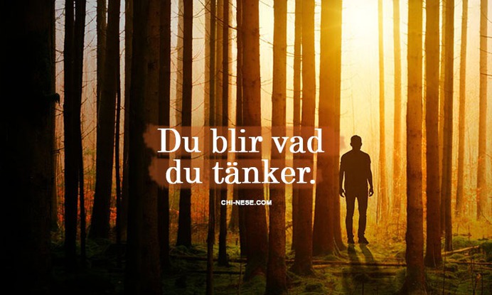 Elsa from Mercury Magazine explain the meaning of the Law of Attraction in Swedish.
