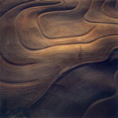 [rafdevis] - Terry Evans #evans #photography #terry