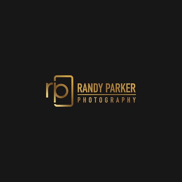Professional Logo Designer