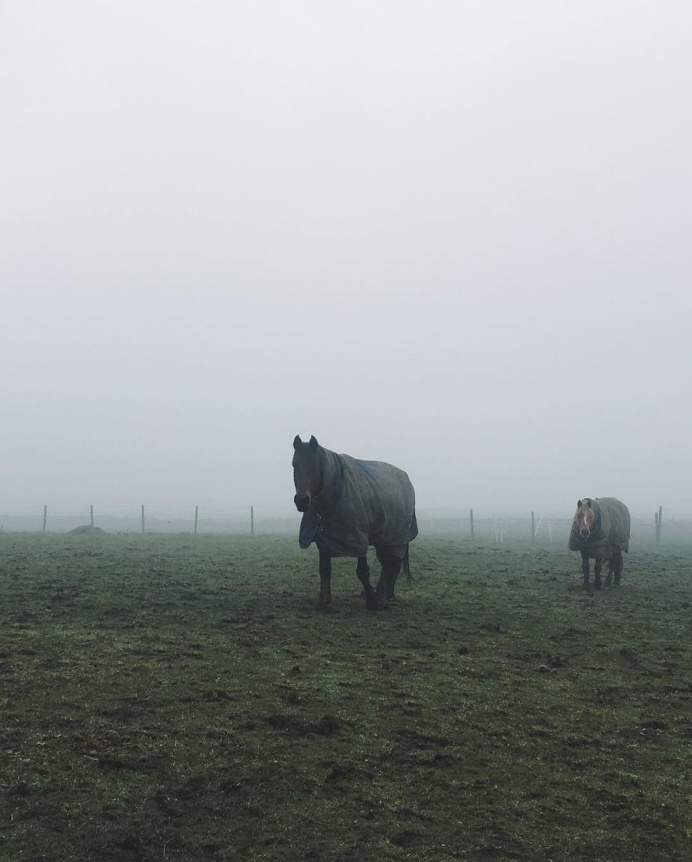 Beautiful iPhoneography by Sara Tasker