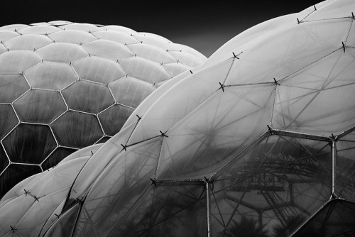 OTAKU GANGSTA #project #bubble #geometric #eco #eden