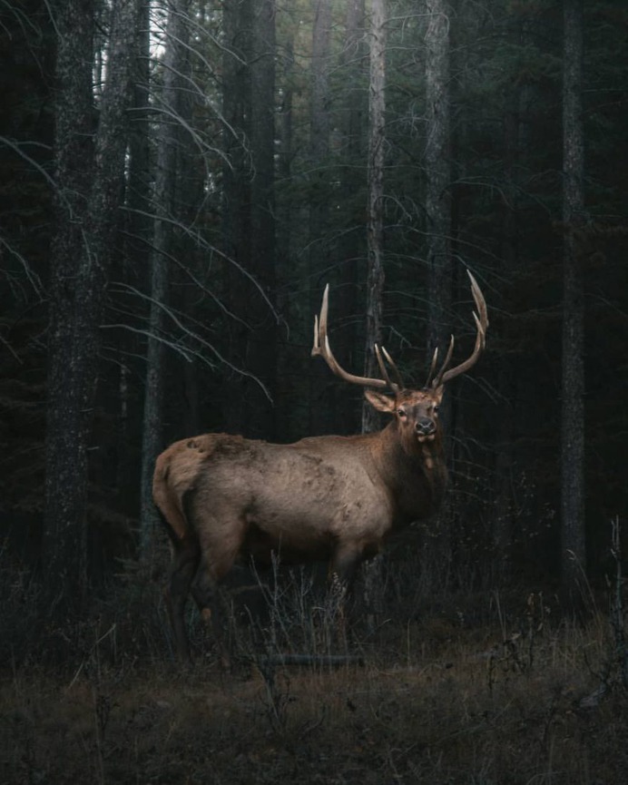 Beautiful Outdoor and Landscape Photography by Victor Aerden