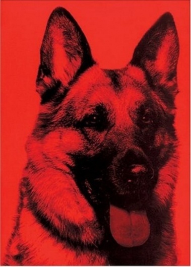 sagmeister-made-you-look.jpg (JPEG Image, 450x628 pixels) #dog #book #cover #animal #sagmeister