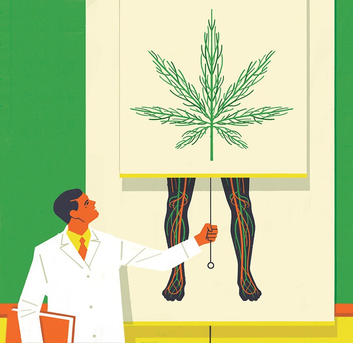 Proto | Adding marijuana to medical school curriculum #illustration