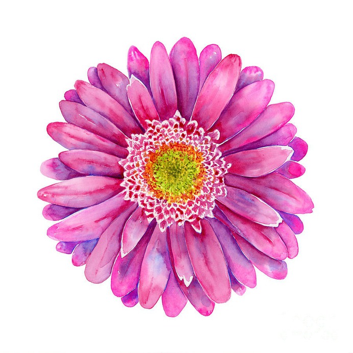 daisy painting & daisy paint by number #painting