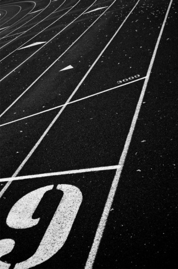 Merde! - Photography (9, 3000. ViaÂ aurum-design) #photography