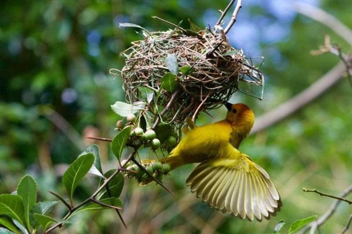 The Winners of the National Geographic Kids International Photography Contest