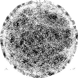 Populate — #motion #gif
