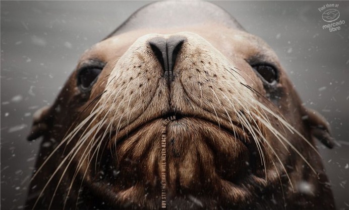 Mercado Libre "Buy straws that will never reach the ocean"