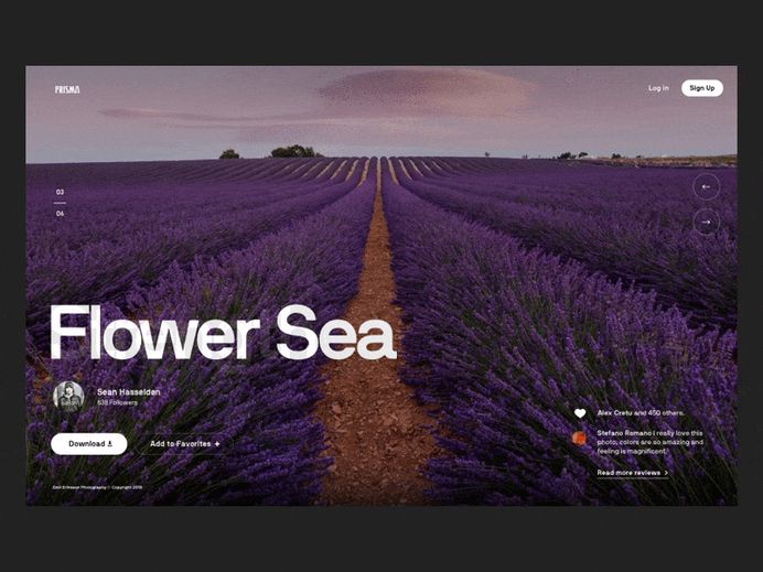 Web Design trends