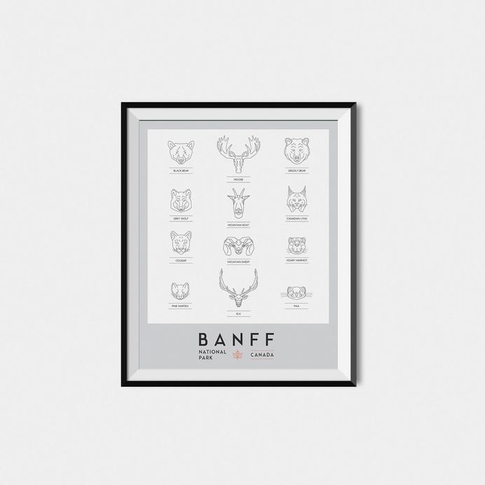 Graphic Design Banff National Park Modern Animals