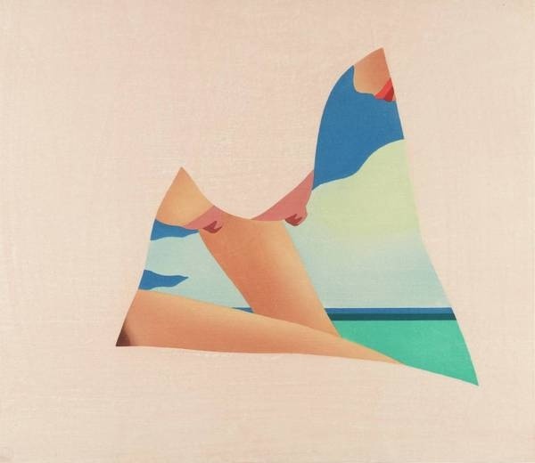 Tom Wesselmann, Seascape Dropout, 1982 #tom #illustration #wesselmann