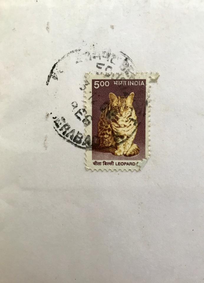 Indian Stamp #cat #postal #stamp