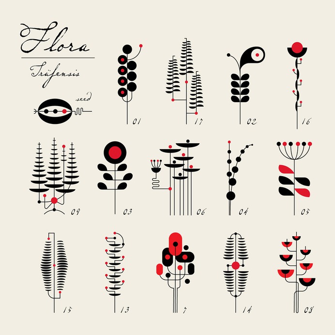 FLÖRA on Behance