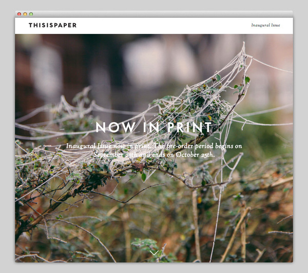 Thisispaper #website #layout #design #web