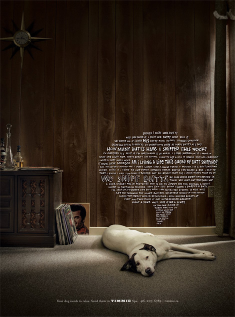 Timmie's Dog Spa – Fubiz™ #handwritten #ad #dog