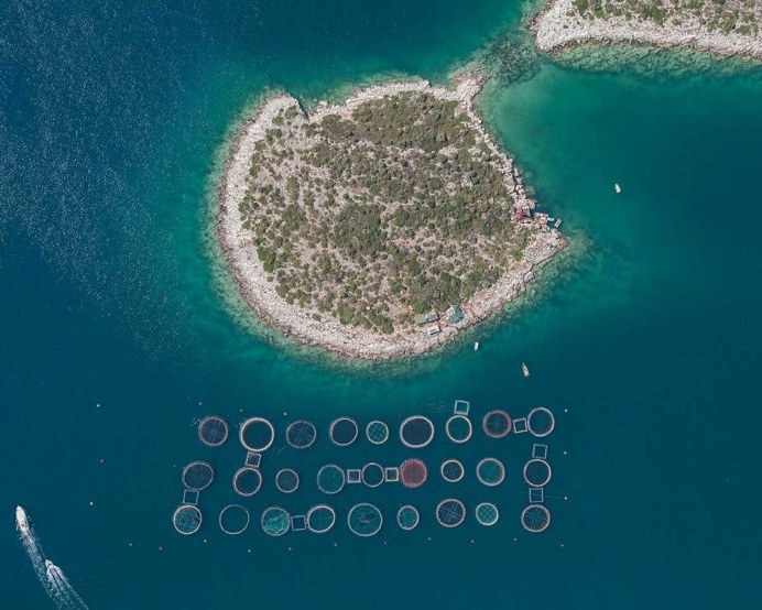 Fish Farms: Intensive Mass Fish Farming in Greece by Bernhard Lang