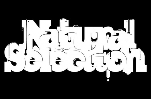 David Murawsky Graphic Design & Illustration Portfolio #illustration #experimental #typography
