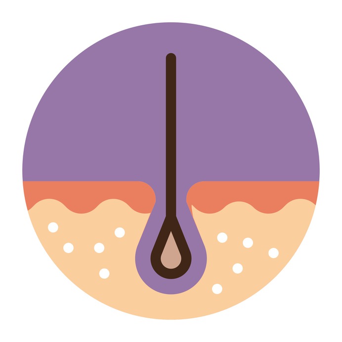 See more icon inspiration related to skin, hair, dermathology, medical and epidermis on Flaticon.