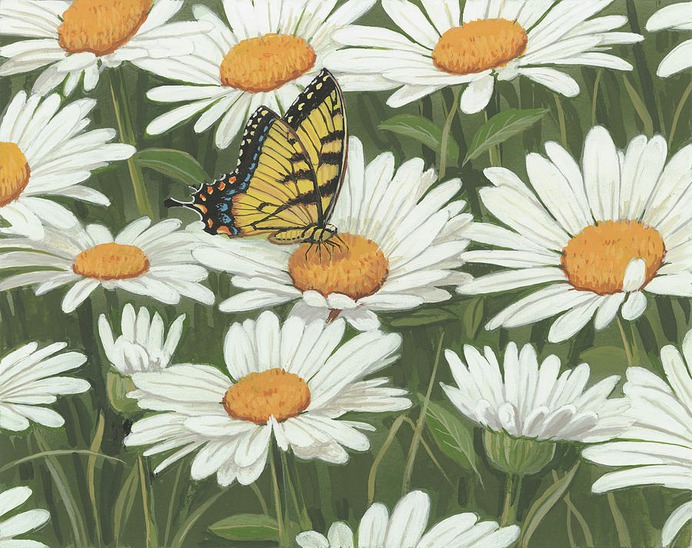 daisy painting & daisy paint by number #painting