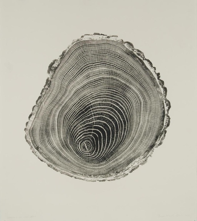 Compression Wood