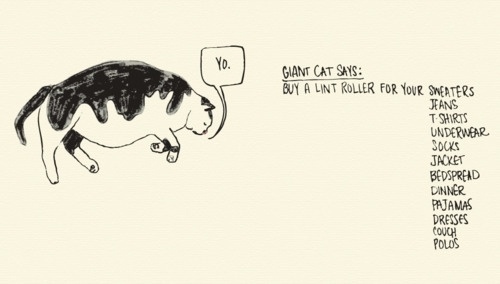 Meowoodle #illustration #drawing #cat